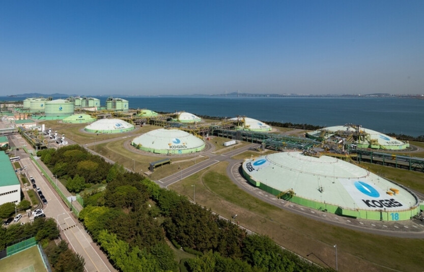 "LNG 9일 비축, ...