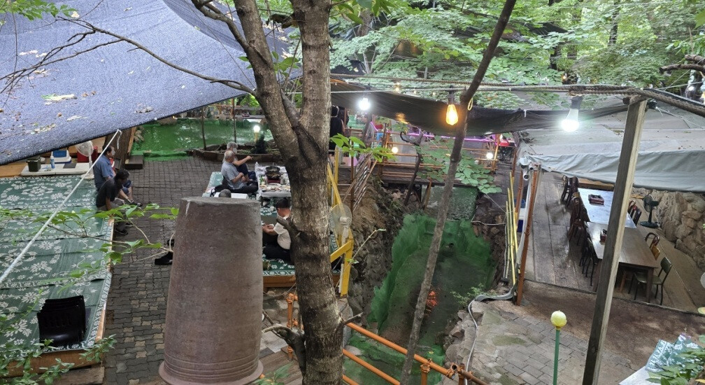 "강력 단속한다더니"...